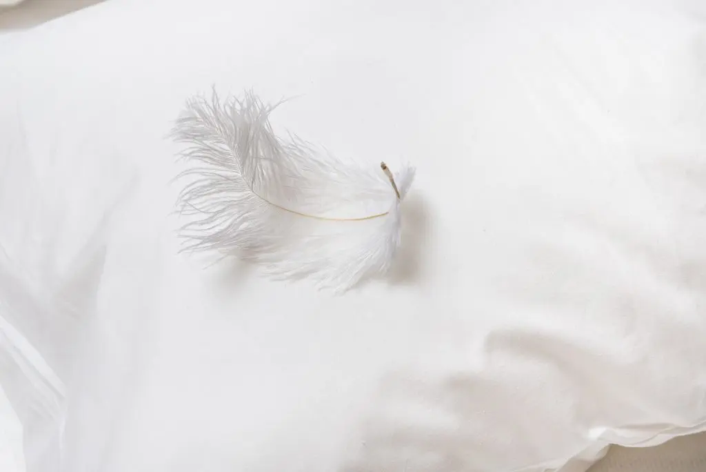 Feather Cushions