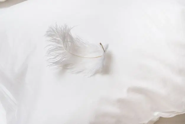 feather cushions
