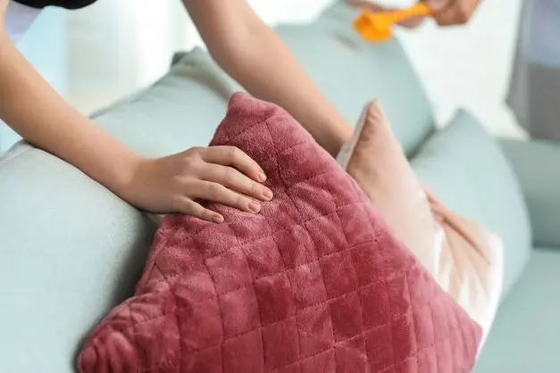 sofa cushions