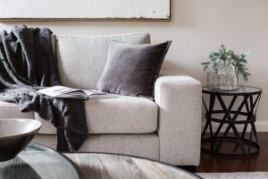 Sofa Protection Solutions
